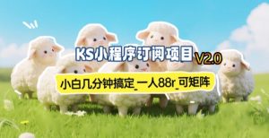 【新一期】小程序订阅_小白几分钟70-80r，可矩阵(已测到账)-副业网创