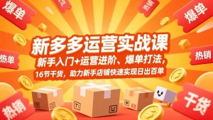 拼多多运营实战课，新手入门+运营进阶、爆单打法，16节干货，助力新手店铺快速实现日出百单-副业网创