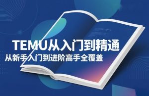TEMU从入门到精通，从新手入门到进阶高手全覆盖-副业网创