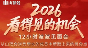 波波·2026看得见的机会12小时波波见面会(东莞线下课2月1日)-副业网创