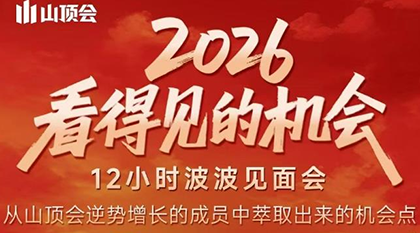 波波·2026看得见的机会12小时波波见面会(东莞线下课2月1日)-副业网创