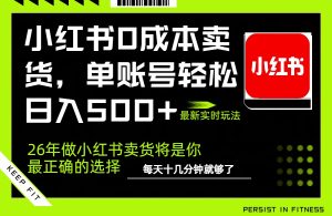 小红书0成本AI卖货，单账号轻松日入500+，完全托管AI，可矩阵放大-副业网创