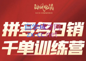 白凤电商·拼多多日销千单训练营(更新2月)-副业网创