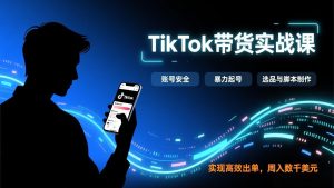 TikTok带货实战课，涵盖账号安全、暴力起号、选品与脚本制作，实现高效出单，周入数千美元-副业网创