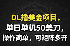 DL撸美金项目，单日单机50美刀，操作简单，可矩阵多开-副业网创