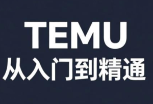 跨境麦冬·TEMU从入门到精通-副业网创