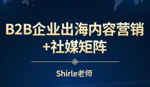 shirle老师·B2B企业出海内容营销+社媒矩阵-副业网创