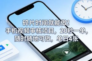 碎片时间就能做！手机视频审核项目，20秒一单，随时随地可做，单日4张+【揭秘】-副业网创