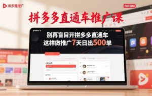拼多多直通车推广课,别再盲目开拼多多直通车,这样做推广7天日出500单-副业网创