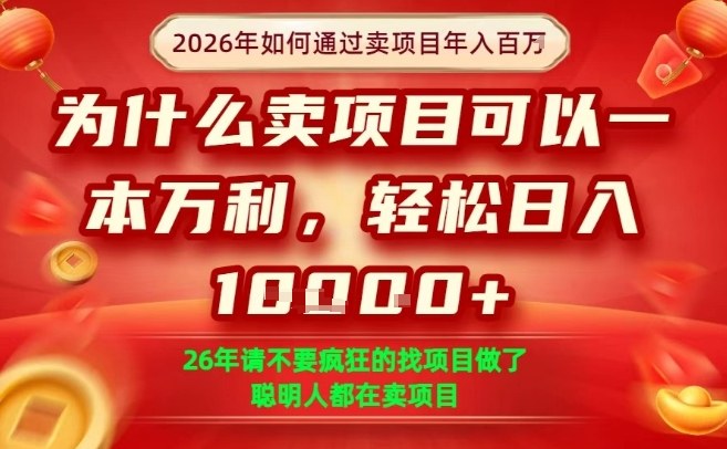 一单净利润1K+，26年想年入100个W，死磕卖项目就够了【揭秘】-副业网创