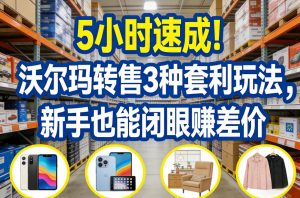 5小时速成！沃尔玛转售3种套利玩法，新手也能闭眼賺差价-副业网创