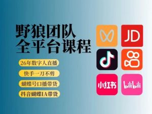 野狼团队2026新版全平台短视频带货教学，打开流量突破口，开始Ai带货(更新26年3月)-副业网创