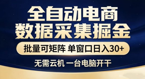 独家电商数据全自动采集项目，批量可矩阵，单窗口轻松日入3张+【揭秘】-副业网创