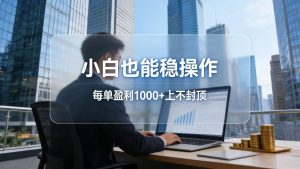 2026新项目，小白也能稳操作，每单盈利1000+上不封顶-副业网创