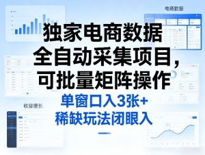 独家电商数据全自动采集项目，可批量矩阵操作，单窗口日入3张+，稀缺玩法闭眼入【揭秘】-副业网创
