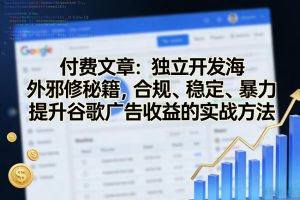 付费文章：独立开发海外邪修秘籍，合规、稳定、暴力提升谷歌广告收益的实战方法-副业网创