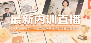 最新内训直播,4天系统教学,一线实战派干货核心玩法全套复盘-副业网创