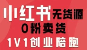 小红书无货源0粉电商课，开店准备、选品策略、笔记撰写、视频剪辑、数据分析、账号打造、资料文档(更新26年3月)-副业网创