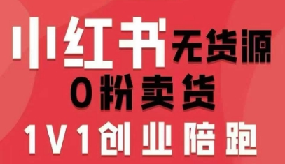 小红书无货源0粉电商课，开店准备、选品策略、笔记撰写、视频剪辑、数据分析、账号打造、资料文档(更新26年3月)-副业网创