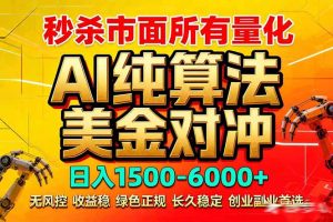 2026全网首发黑马项目，AI美金算法对冲，日入2000-6000+，稳定长效0风险，彻底告别996死工资-副业网创