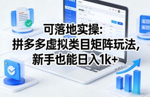可落地实操：拼多多虚拟类目矩阵玩法，新手也能日入1k+【揭秘】-副业网创