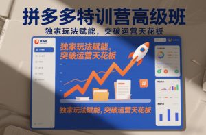 拼多多特训营高阶班，独家玩法赋能，突破运营天花板(更新26年3月19日)-副业网创
