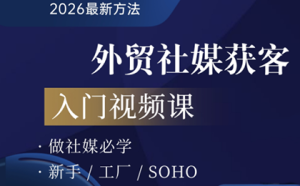 2026外贸社媒获客入门课-副业网创