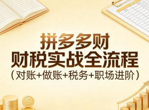 拼多多财税实战全流程(对账+做账+税务+职场进阶)-副业网创