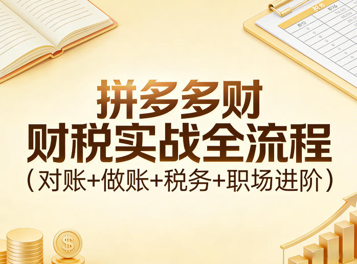 拼多多财税实战全流程(对账+做账+税务+职场进阶)-副业网创