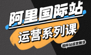 醒目老师·阿里国际站运营系列课(更新3月)-副业网创