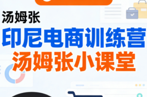 Jack老师·印尼电商训练营+汤姆张小课堂-副业网创