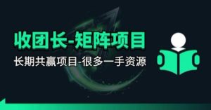 【团长合作】视频矩阵项目_招发手矩阵+剪辑师,共赢项目【揭秘】-副业网创