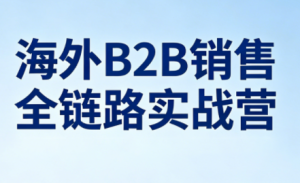 雨哥·海外B2B销售全链路实战营-副业网创