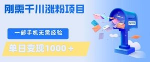 刚需千川涨粉项目，一部手机无需技术，单日变现1k+，当天做当天见收益【揭秘】-副业网创