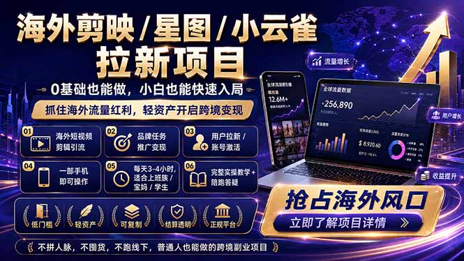 海外剪映 / 星图 / 小云雀拉新项目 普通人也能上手的跨境流量变现副业-副业网创