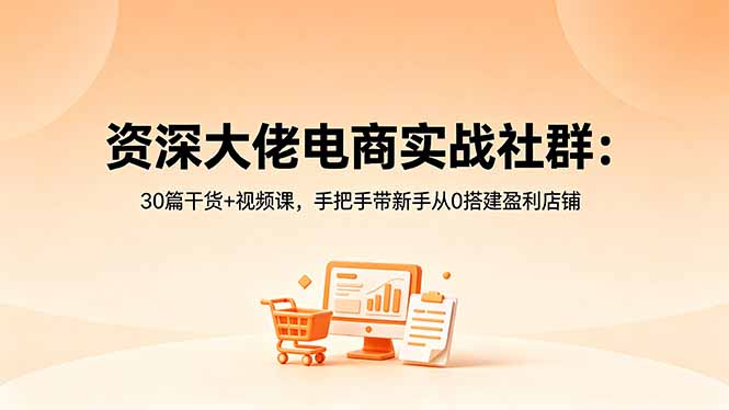 资深大佬电商实战社群：30篇干货+视频课，手把手带新手从0搭建盈利店铺-副业网创