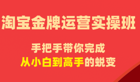 飓风电商·淘宝金牌运营实操班-副业网创