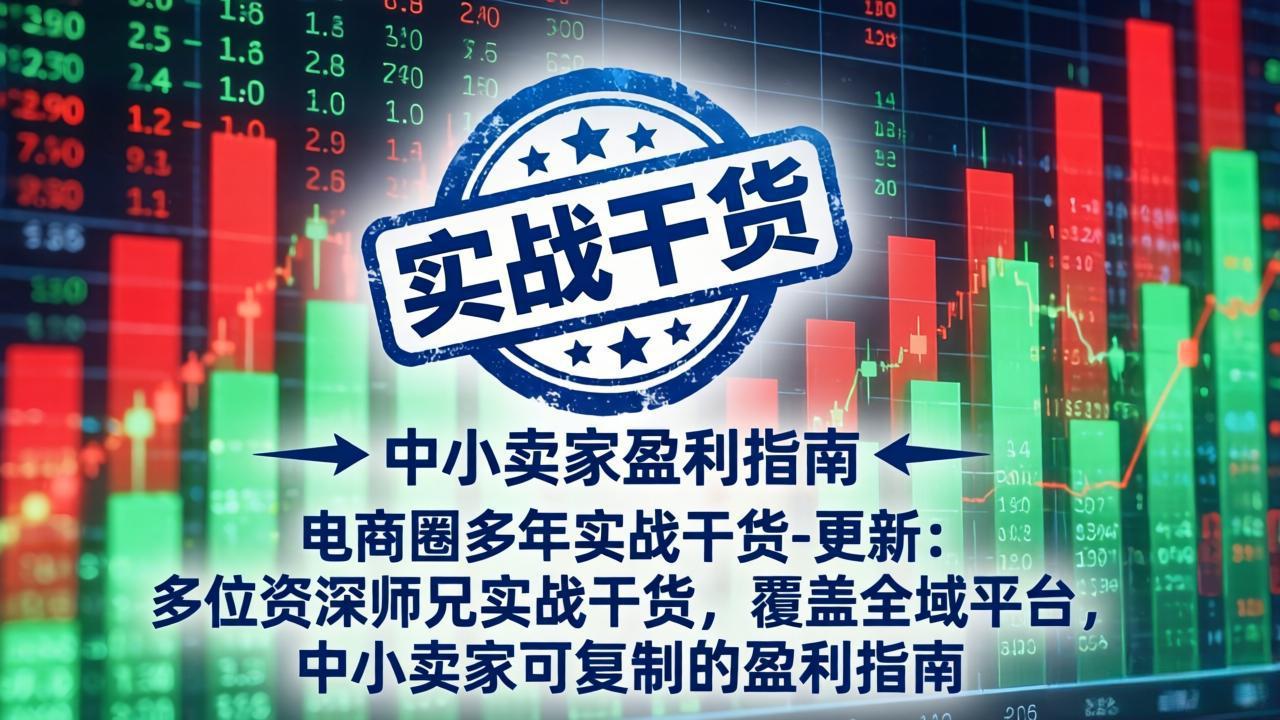 电商圈多年实战干货-更新5月20：多位资深师兄实战干货/覆盖全域平台，中小卖家可复制的盈利指南-副业网创