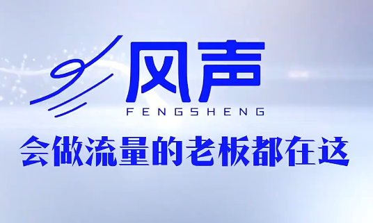 董十一·风声短视频AI获客年度会员-副业网创