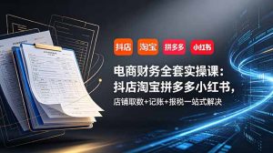 电商财务全套实操课:抖店淘宝拼多多小红书,店铺取数+记账+报税一站式解决-副业网创