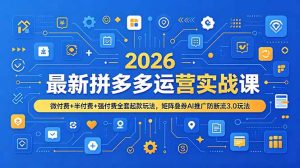 2026最新拼多多运营实战课，微付费+半付费+强付费全套起款玩法，矩阵叠券AI推广防断流3.0玩法-副业网创