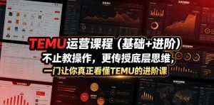 TEMU运营课程(基础+进阶)，不止教操作，更传授底层思维，一门让你真正看懂TEMU的进阶课-副业网创