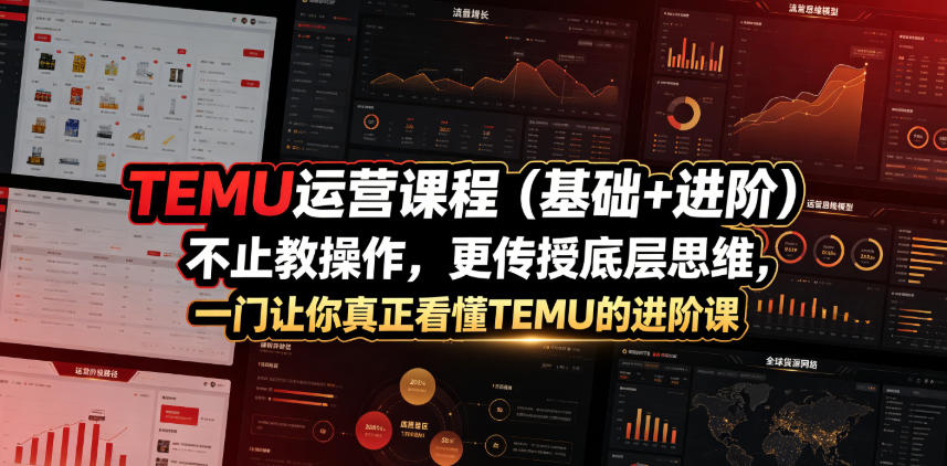 TEMU运营课程(基础+进阶)，不止教操作，更传授底层思维，一门让你真正看懂TEMU的进阶课-副业网创