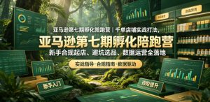亚马逊第七期孵化陪跑营｜千单店铺实战打法，新手合规起店、避坑选品、数据运营全落地(更新0625)-副业网创