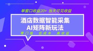 2026酒店数据采集ai智能矩阵新风口  低成本   高收益   当天见收益   单窗口20+-副业网创