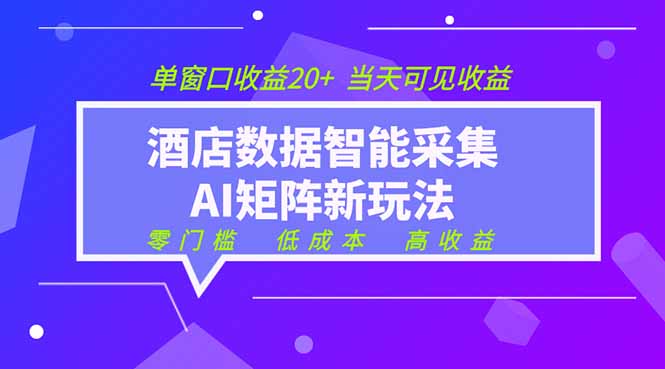 2026酒店数据采集ai智能矩阵新风口  低成本   高收益   当天见收益   单窗口20+-副业网创