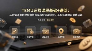 TEMU运营课程(基础+进阶-副业网创