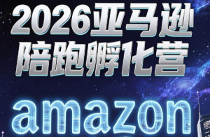 跨境米亚·亚马逊陪跑孵化营(第7期)-副业网创
