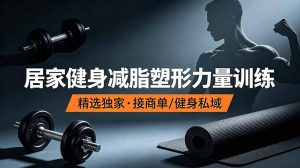 抖音健身热门短视频教学：居家健身减脂塑形力量训练，精选独家，接商单或者健身私域-副业网创