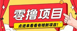 很简单的一个零撸项目，B站小红书发布二次元动漫风格视频，20个赞10元收益最高4000元-副业网创